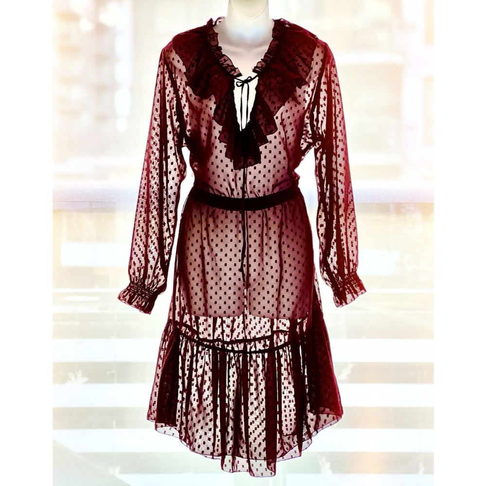 Sheer Sz 12 burgundy polka dot dress with matching slip NWOT